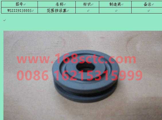 WG2229230005-SINOTRUK HOWO-Insert split piston-ZhongQiBianSuXiangHW20716C