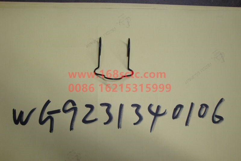 WG9231340106