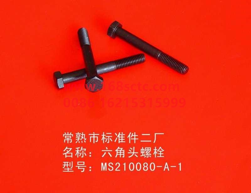 MS210080A 1-OTHERS-Interaxial differential housing screws-LiuJiaoTouLuoShuan