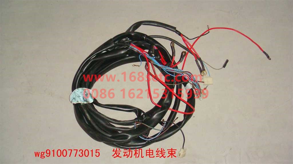 WG9100773015