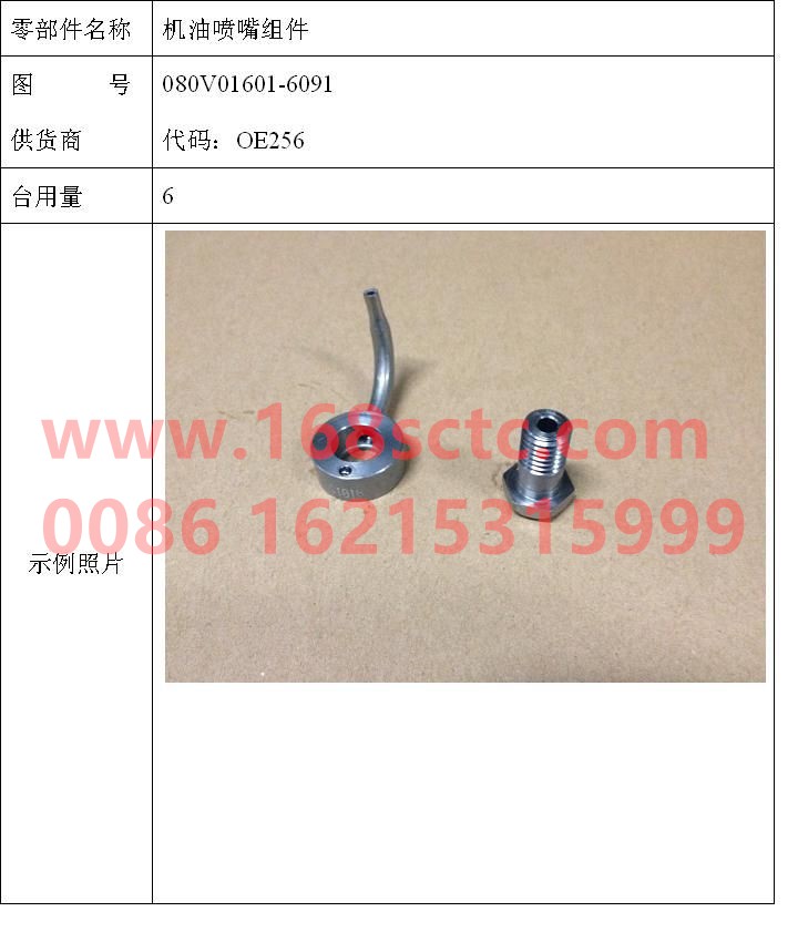 080V01601-6091-SINOTRUK HOWO-oil nozzle assembly-ZhongQiFaDongJiMC07.21-40