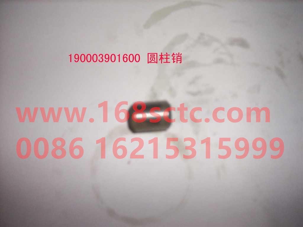 190003901604