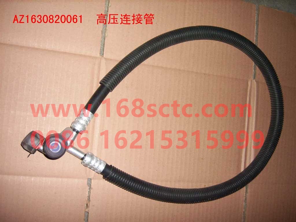 WG1630820061
