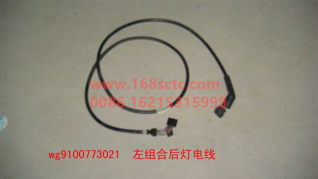 WG9100773021