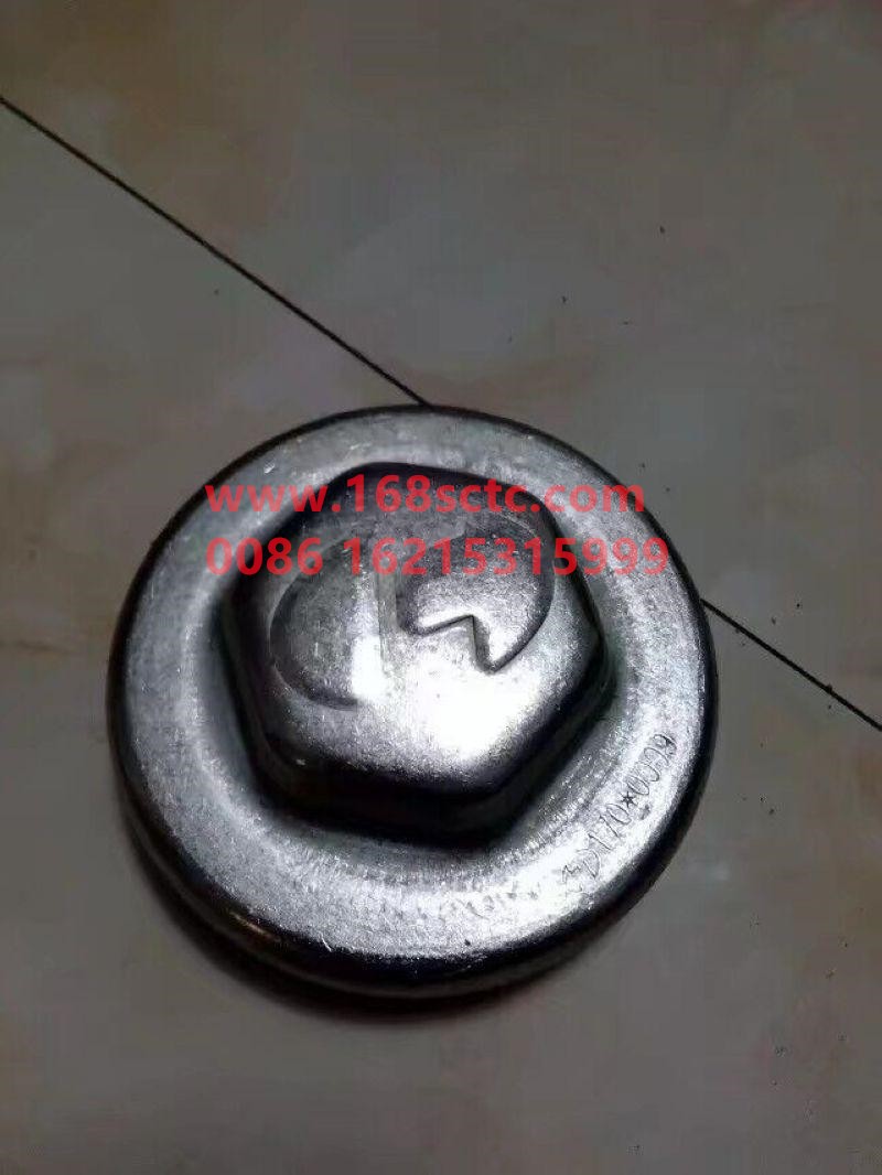 250-3103090-SHACMAN-Front axle head Gedron F3000-AoLong2007Kuan