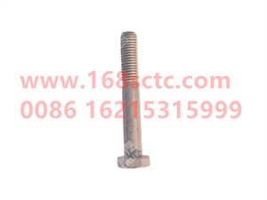 ZQ150B1070TF6-OTHERS-Outer hexagon bolt M10x70-LiuJiaoTouLuoShuan