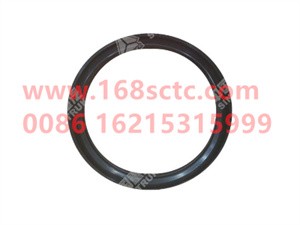 YJ99114520223B-SINOTRUK HOWO-Oil seal (rear oil seal)-HaoWo2010Kuan