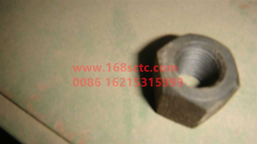 WG9770520015+017-OTHERS-Steel plate center nut-KuangShanBaWang70