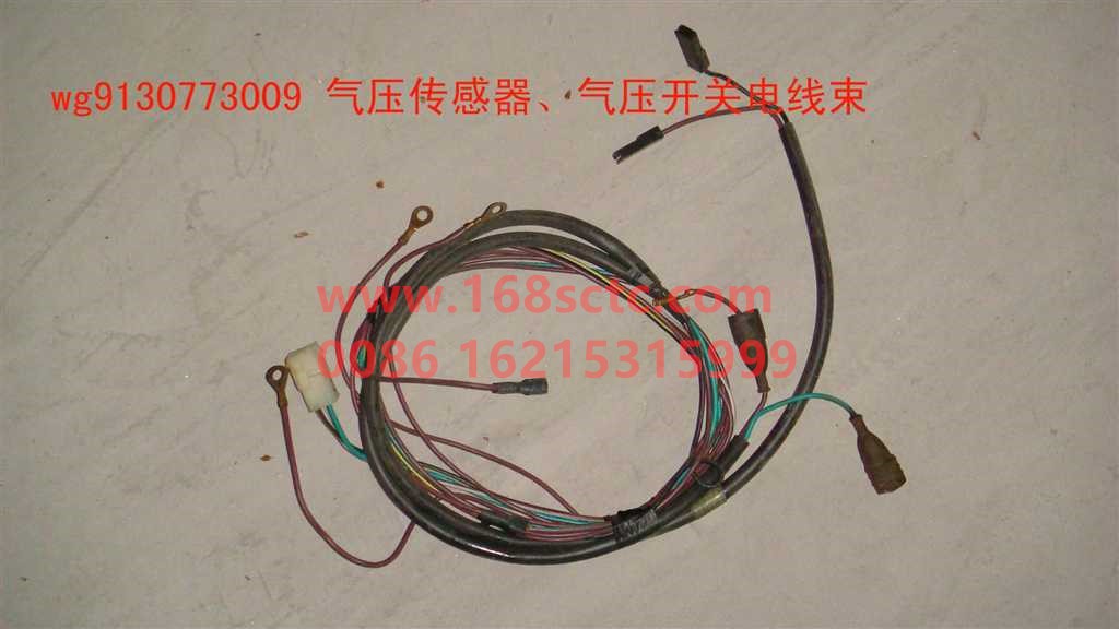 WG9130773009-OTHERS-Air pressure sensor, air pressure switch wiring harness-XinHuangHe2011Kuan