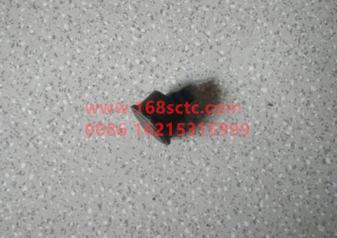 GB1154-79-GEARBOX-Grease cup 1/8-FaShiTeBianSuXiangRT11509C