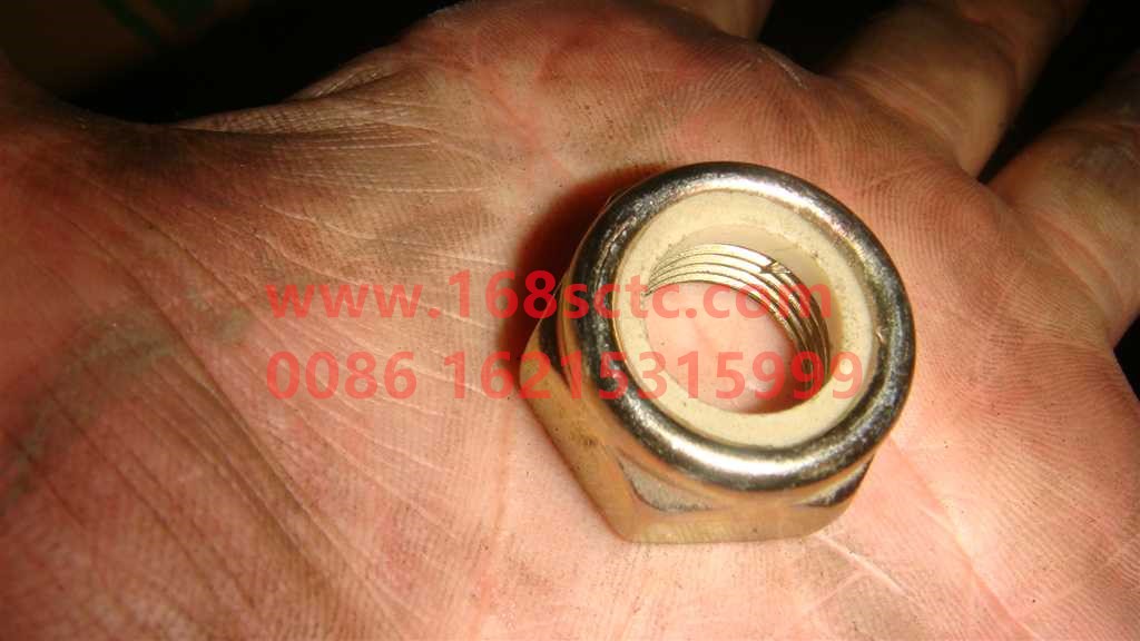 AZ9003881615-SINOTRUK HOWO-Hex Nylon Lock Nut-ZhongQiBianSuXiangHW13710