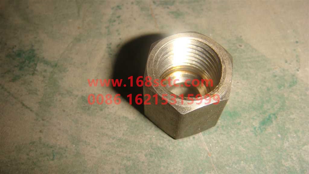 WG9115550084-SINOTRUK HOWO-Union nut-SiTaiErM5G