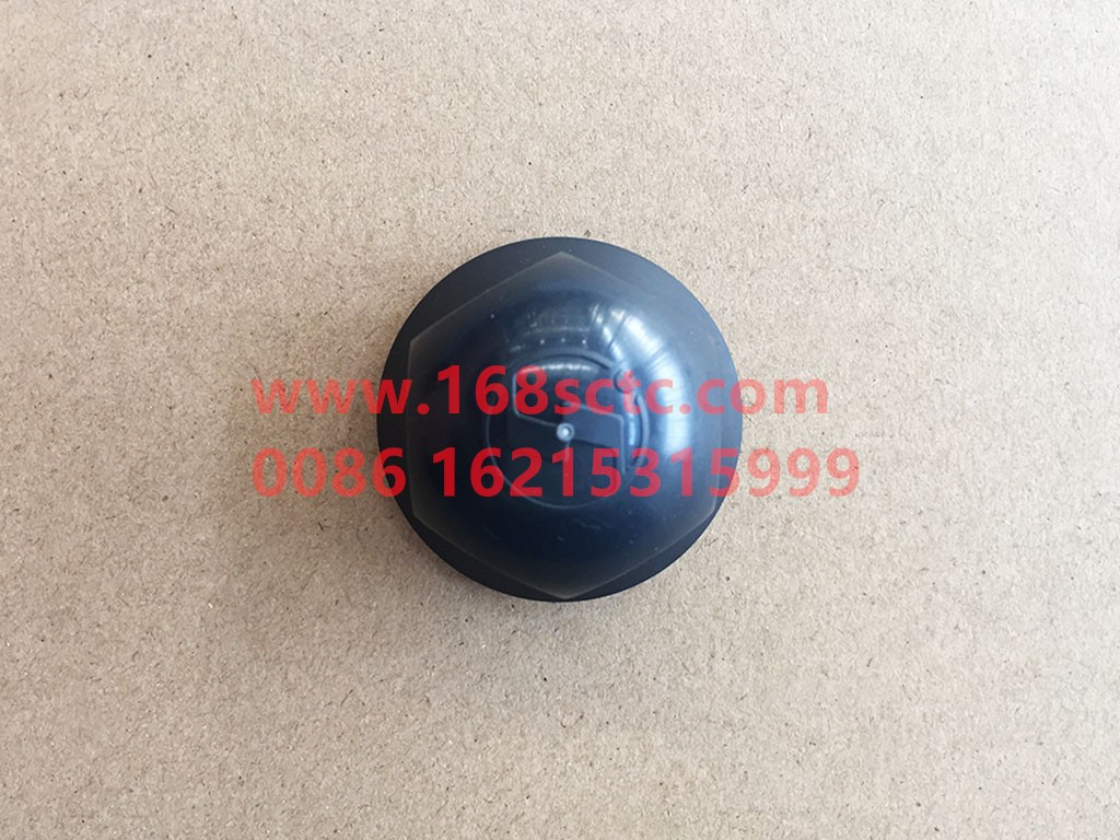 DZ93259610205-SHACMAN-Protective Cap (Wheel Nut Protective Cap)-DeLongF2000 2015Kuan