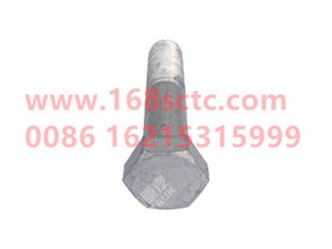 ZQ151B20100TF6-SINOTRUK HOWO-Hex bolts M20x1.5x100-HaoWo2013Kuan