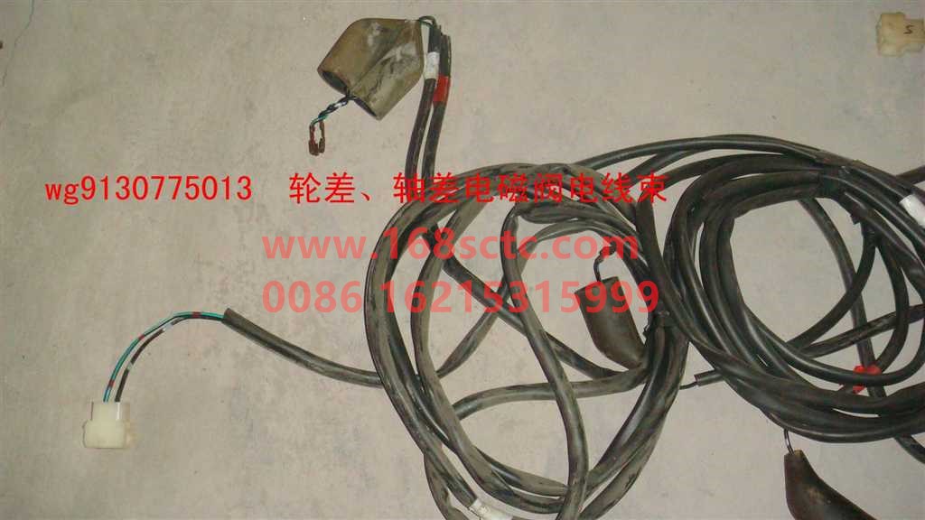 WG9130775013