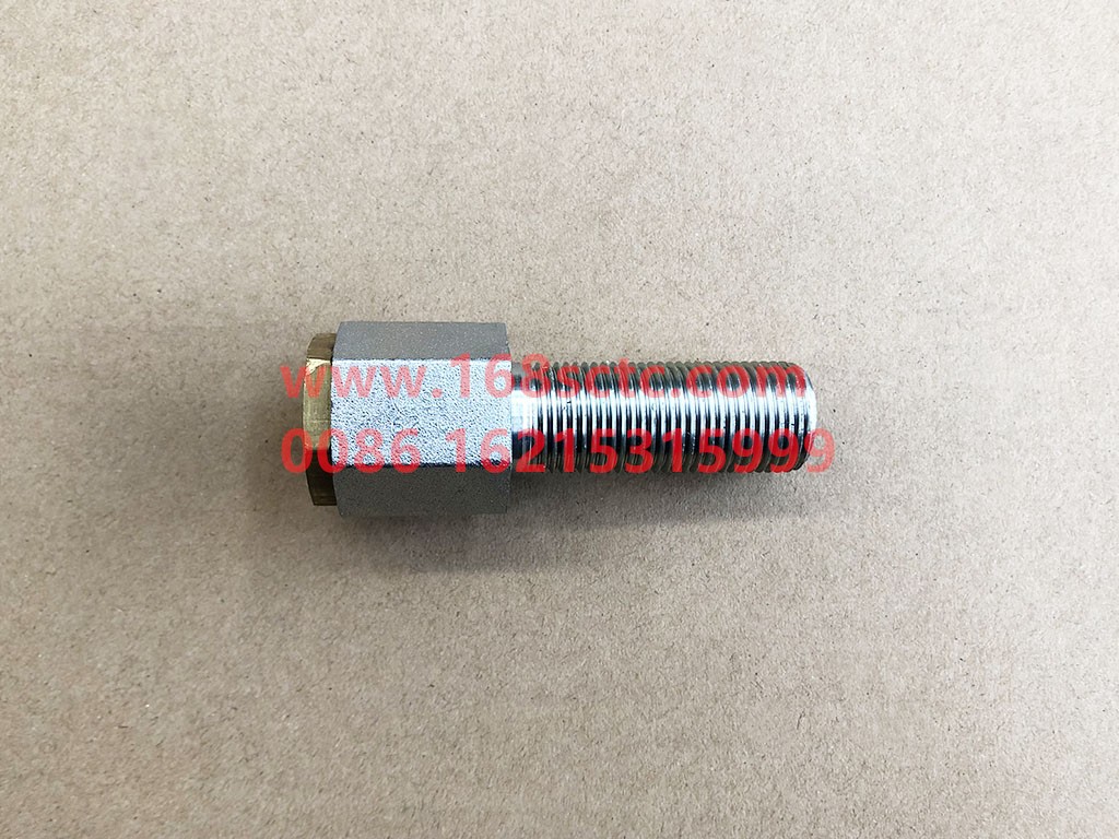 DZ97319366079-SHACMAN-straight head-DeLongX3000 2013Kuan