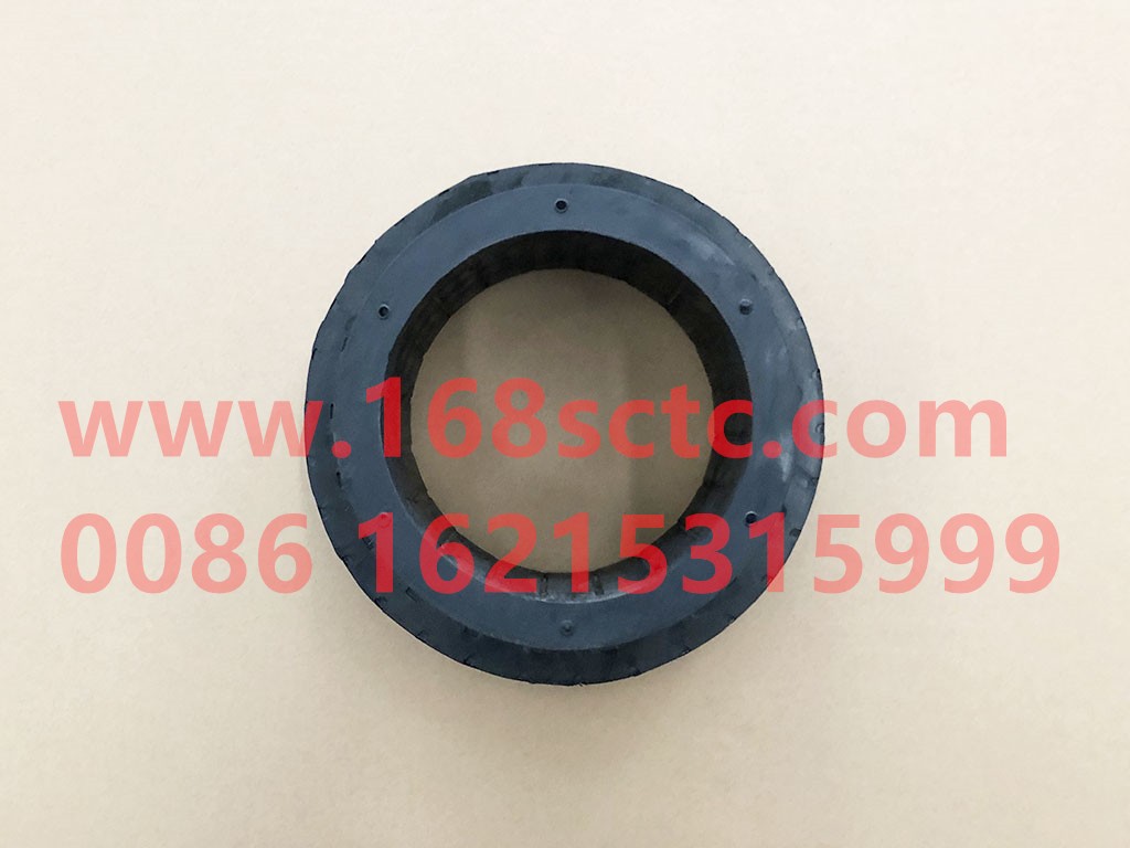 81.96210.0508-SHACMAN-Convex bushing-DeLongF3000 2009Kuan