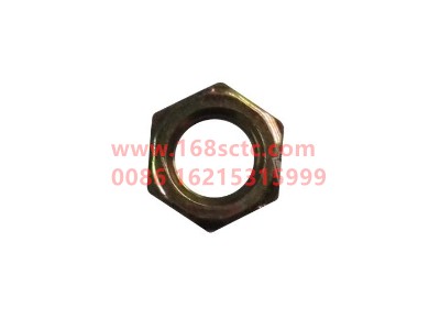 Q351C12T15-OTHERS-Hex Thin Nut-LiuJiaoTouLuoMu