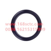 WDFQ1-31S36A-04080E1296