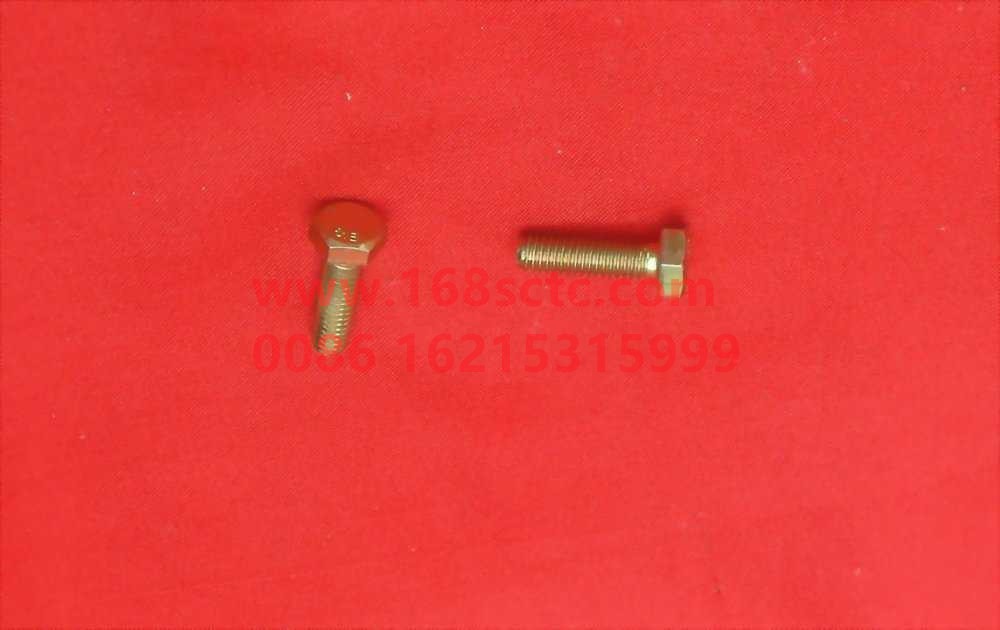 Q150B0620-SHACMAN-Hex bolt M6x20 (MOQ 10,000 pcs)-AoLong2007Kuan