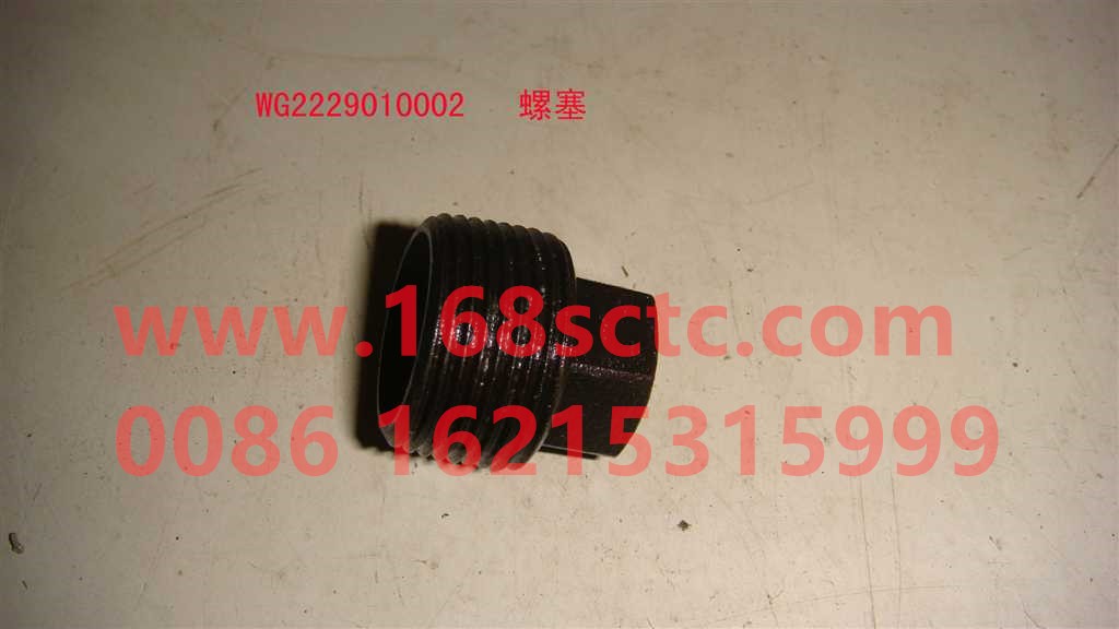 WG2229010002-SINOTRUK HOWO-screw plug-ZhongQiBianSuXiangHW19710T