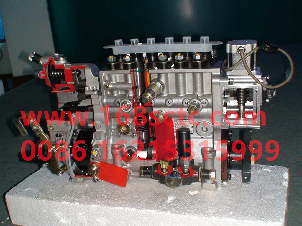 VG1557080130