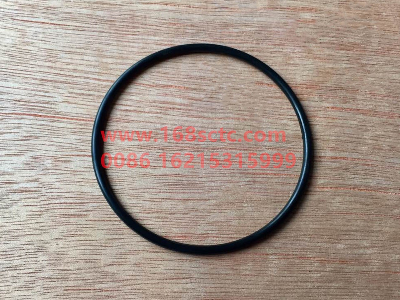 SZ956000879-SHACMAN-Fine filter rubber ring-DeLongF2000LNG 2011Kuan