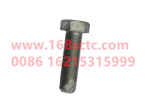 ZQ151B1660TF6-OTHERS-Outer hex bolt M16x1.5x60-LiuJiaoTouLuoShuan