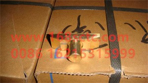 AZ2229100206-OTHERS-Shift fork slider-DaChiBianSuXiangDC12J180T