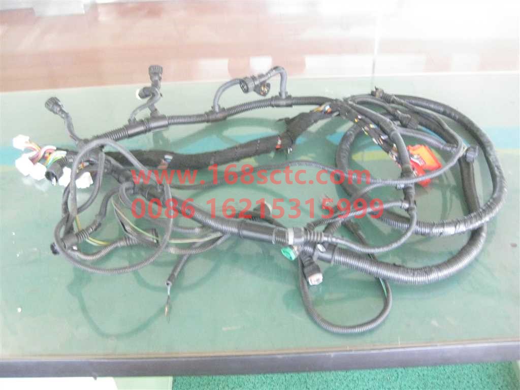 VG1093090009-SINOTRUK HOWO-Wire harness assembly-ZhongQiFaDongJiWD615.95E