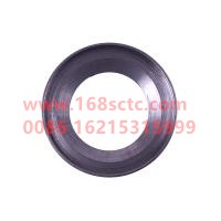 WDFHF130-38.119E1296