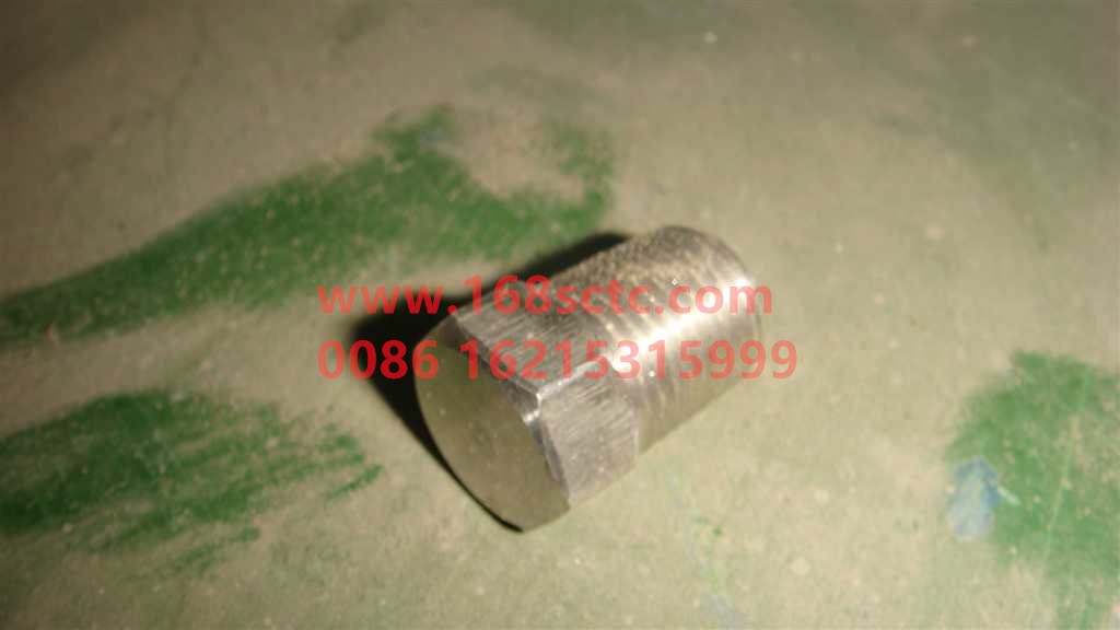 WG9116550108-SINOTRUK HOWO-Cone buckle plug-JinWangZi2010Kuan