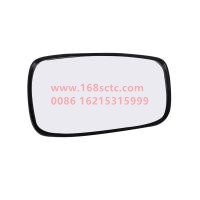 JAC8202020E800W0498