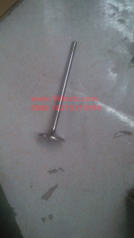 080V04101-0537-SINOTRUK HOWO-Intake valve-ZhongQiFaDongJiMC07.21-40