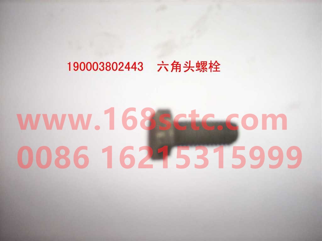 190003802455