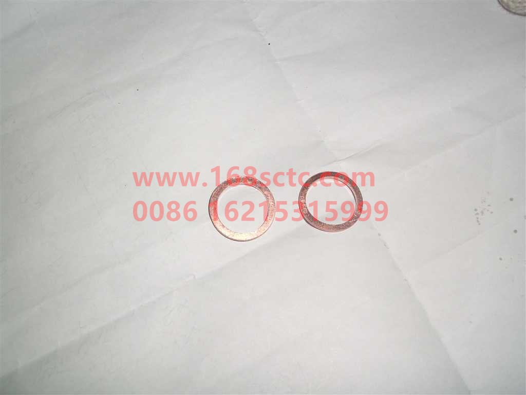 Q72314T5-SINOTRUK HOWO-Gasket (19710T)-HaoWo2010Kuan