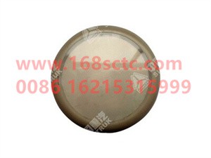 WG9925720025-SINOTRUK HOWO-Door light LED-HaoWoT7HKuan