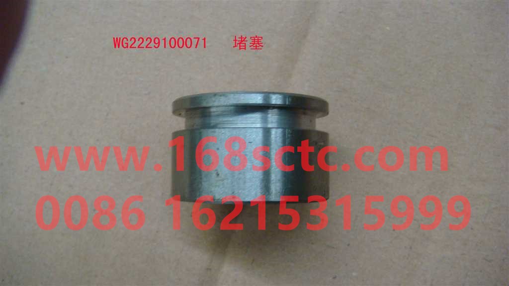 WG2229100071-SINOTRUK HOWO-jam-HaoWo2013Kuan