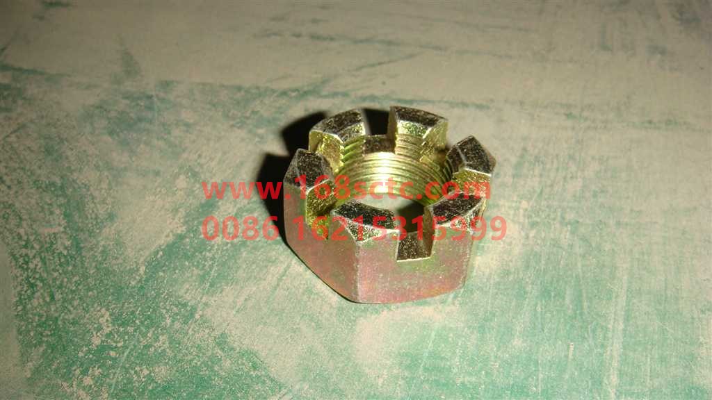 WG9925410105+025-OTHERS-Channel nut 3001M 151-KeManQianQiao