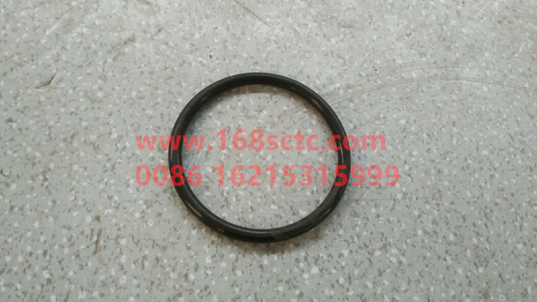 WG9003070685-SINOTRUK HOWO-O-ring-ZhongQiBianSuXiangHW13710