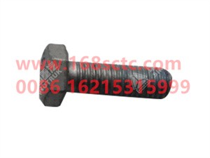 ZQ150B0825TF6-OTHERS-Outer hexagon bolt M8x25-LiuJiaoTouLuoShuan