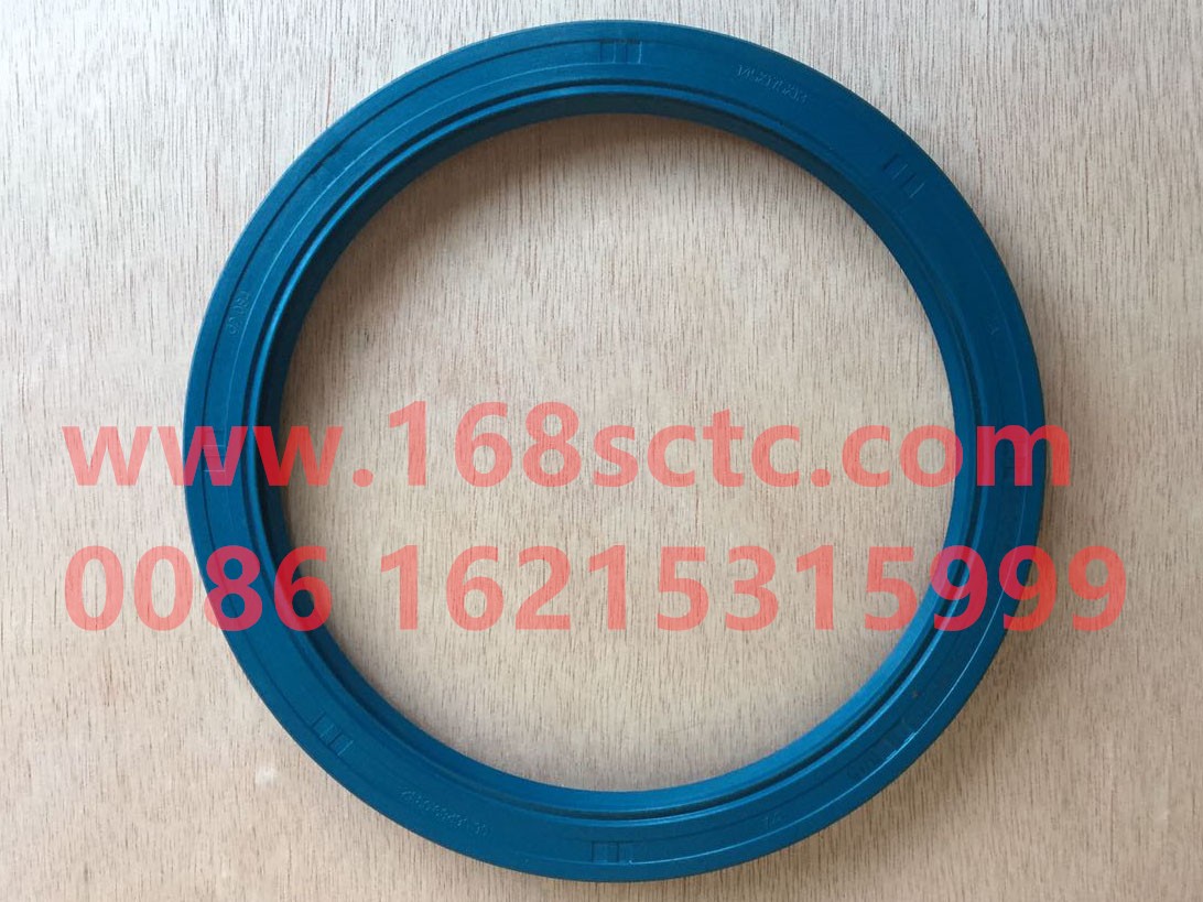 Oil seal
