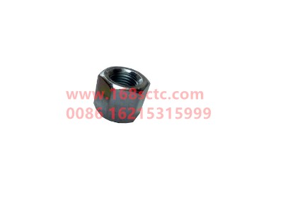 wg9725520067018