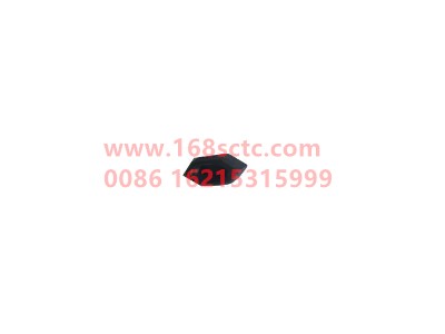 wg9719520020019