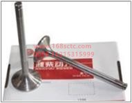 S61560050041