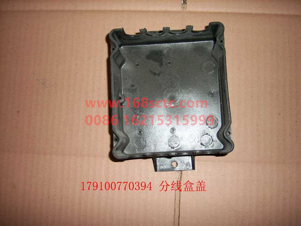 WG9100770394