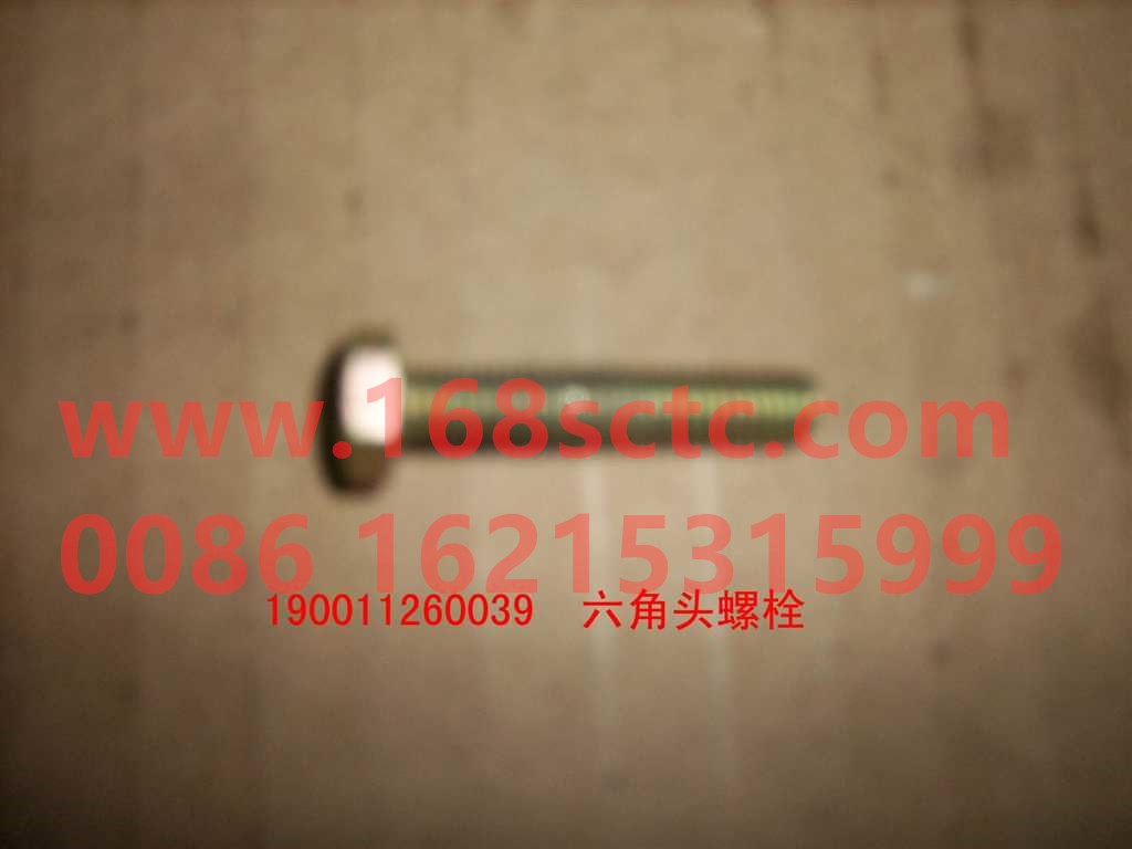 190011270032