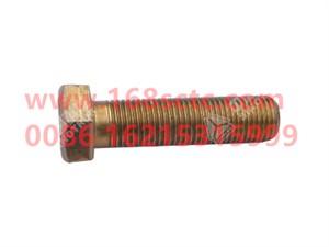 ZQ151B1245-OTHERS-Outer hex bolt M12x1.25x45-LiuJiaoTouLuoShuan