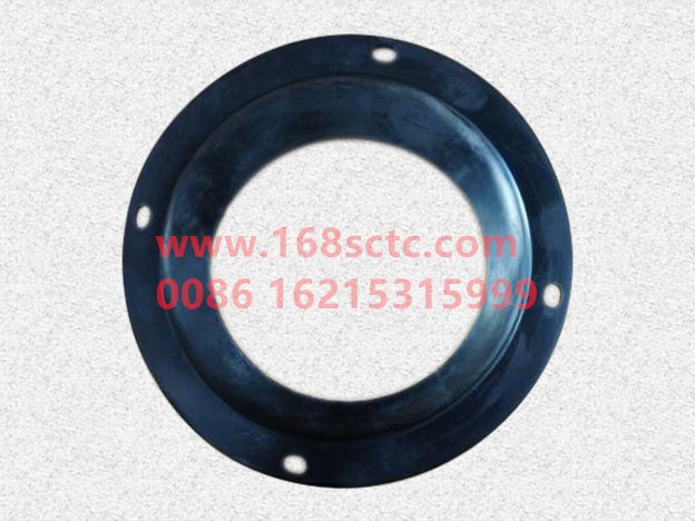 DZ93259240306-SHACMAN-dust cover-DeLongF2000 2015Kuan