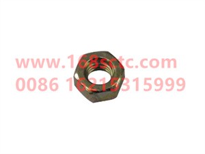 ZQ340B10-OTHERS-Hex nuts 1type M10(Front Suspension Nut)-LiuJiaoTouLuoMu